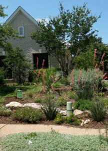 Austin, Texas Named a Community Wildlife Habitat Image